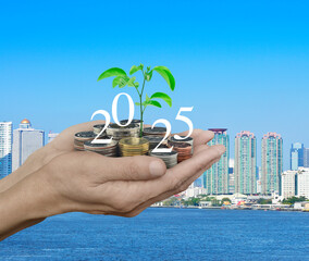 Wall Mural - Hands holding growing tree with 2025 white text and coins over city tower, skyscraper and river, Happy new year 2025 business ecological concept