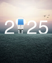 Wall Mural - 2025 white text and light bulb with solar cell inside on green grass field over aerial view of cityscape at sunset, vintage style, Happy new year 2025 ecological cover concept