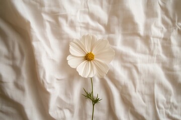 Wall Mural - A single white flower rests gracefully on a textured fabric surface, showcasing minimalist elegance and serene beauty.