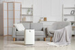 © Pixel-Shot - Interior of light living room with air purifier, sofa and armchair