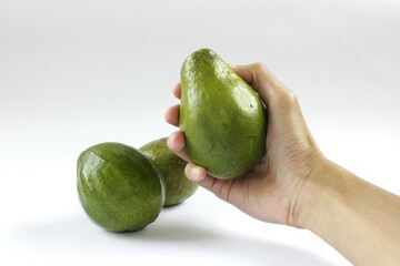 Right hand holding an avocado or Persea americana fruit on a white background. Avocados grow in tropical and sub-tropical climates. Soft and delicious texture. It contains good fats and protein.