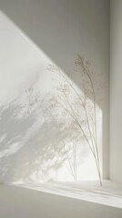 Wall Mural - A delicate plant casts intricate shadows on a white wall, creating a serene and minimalist atmosphere in a modern interior space.