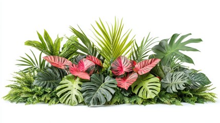 Wall Mural - Lush tropical foliage arrangement with vibrant green and red leaves isolated on white.