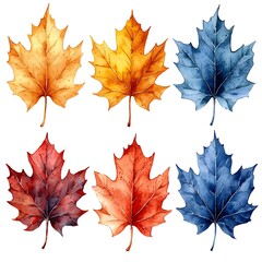 Wall Mural - Vibrant Watercolor Maple Leaf Set with Warm Autumn Splashes on White Background