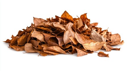 Wall Mural - Pile of dried brown autumn leaves isolated on white background.