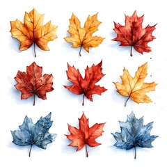 Wall Mural - Vibrant Watercolor Maple and Oak Leaves in Autumn Hues on White Background