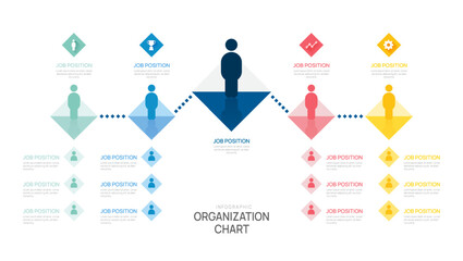 Wall Mural - organization chart infographic template for with business avatar icons. vector illustration.