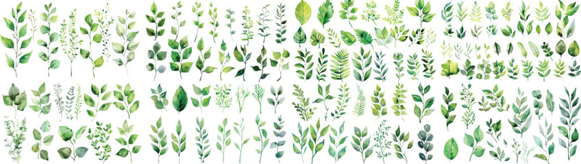 green watercolor leaves on isolated background