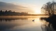 © The 2R Artificiality - Swan gliding on tranquil lake at sunrise with misty reflections and serene natural landscape in the background