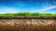 © Watcharapon - Underground soil layer with erosion ground and grass on top, underground, soil, layer, cross section, earth, erosion, ground