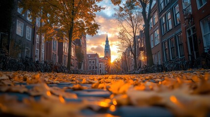 Wall Mural - A serene autumn scene with fallen leaves and a sunset behind a church tower.