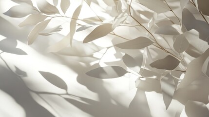 Wall Mural - White leaves and branches casting shadows on a white background in sunlight.