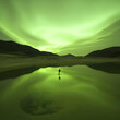 © share - Green Aurora Landscape Illustration