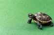 © MUdaylah - toy turtle realistic on green background. banner. copy space. place for text. world turtle day. environment protection
