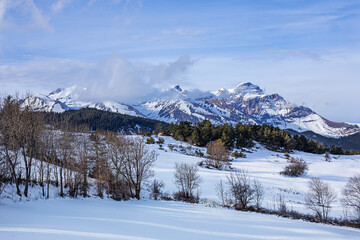 Montagnes enneigées sous les nuages d'hiver dominant une plaine boisée et enneigée où vivent des animaux sauvages.