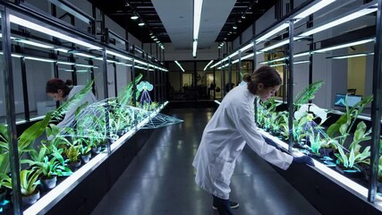 Leinwandbilder - Scientist explores high-tech greenhouse with digital plant models in urban research facility