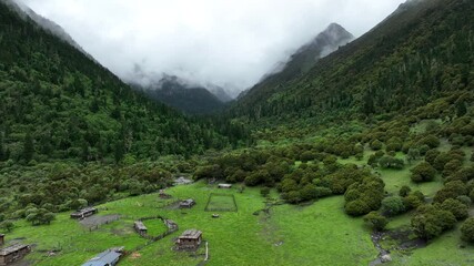 Sticker - Aerial footage of beautiful high altitude forest mountain landscape