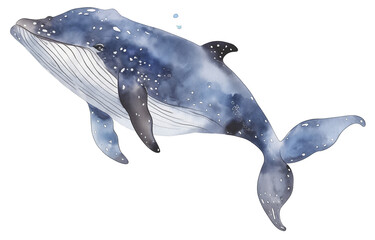 Wall Mural - Watercolor cute whale illustration png on transparent background