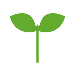 Wall Mural - plant seedling icon. spring green plant icon isolated on white. vector illustration.
