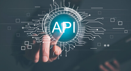 api interface programming interface.