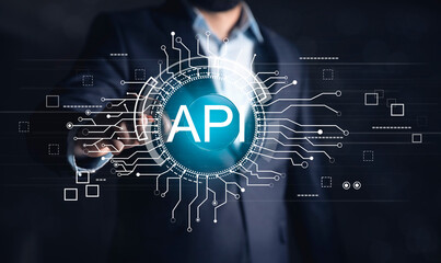api interface programming interface.