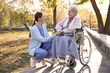 © New Africa - Caregiver with elderly woman in wheelchair at park