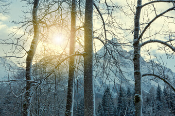 Wall Mural - winter landscape with sunset and alpine mountains