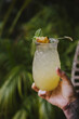 © Sarah Kathleen - Pineapple Shaped Cocktail