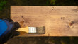 © Svetliy - Brush with paint on a wooden surface.Wood treatment with protective impregnation.A gloved hand with a tassel.
