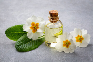 Wall Mural - Organic cosmetics, Primula natural oil, handmade with herbal and primrose flower extracts in glass bottles