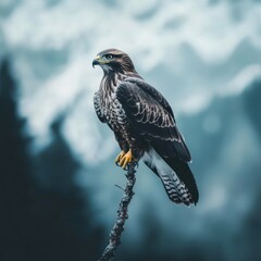 Wall Mural - a bird of prey perches on a branch, waiting for its next meal