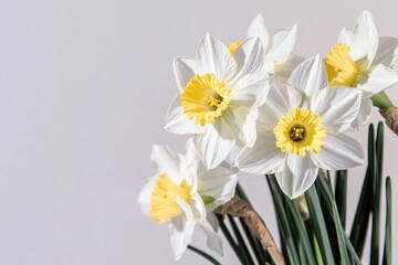 Poster - A collection of white and yellow flowers in a decorative vase