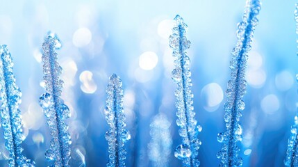 Poster - A cluster of small ice crystals photographed in detail