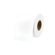 © Gail - Toilet Paper Roll Isolated on PNG Transparent Background