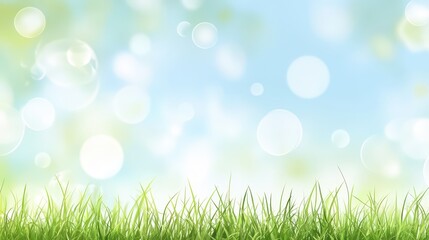 Wall Mural - Beautiful sunny spring meadow with green grass and blue sky. Abstract background with light bokeh and space for text.