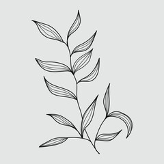 Wall Mural - Plant with leaves and tree branch vintage line art vector illustration