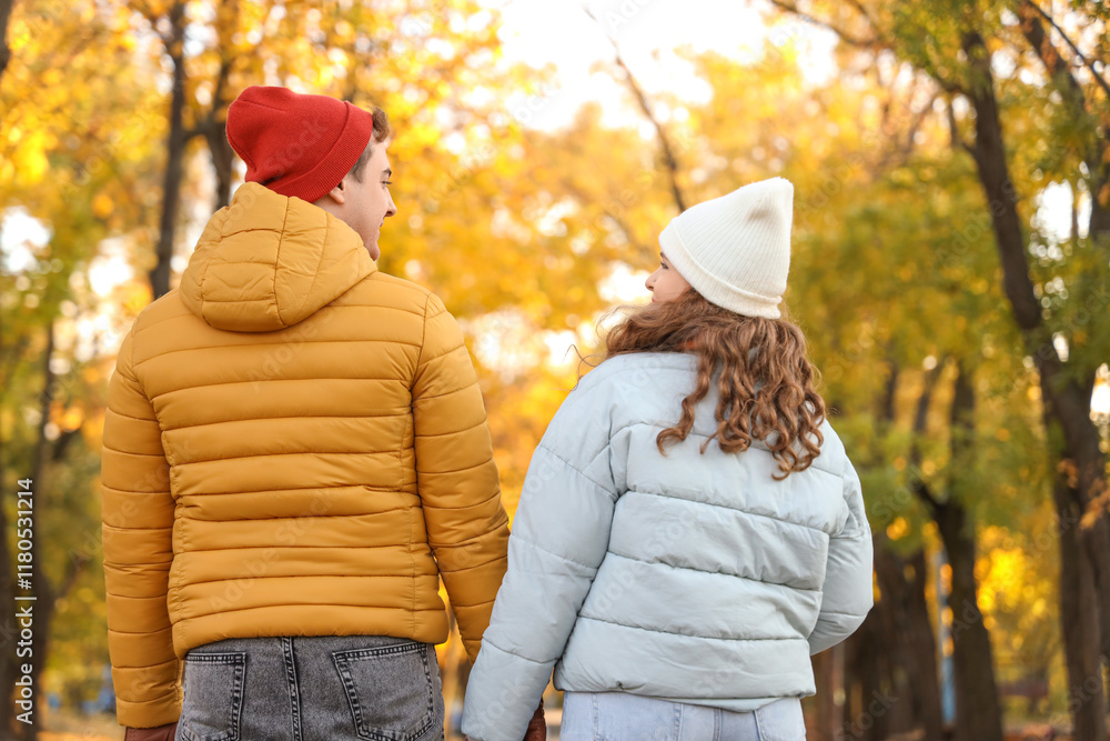 Beautiful loving young couple walking in autumn park, back view