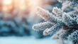© TGIF - Winter wonderland frosty pine branches snowy forest nature photography serene environment close-up view seasonal beauty