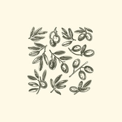 Wall Mural - olive hand drawn engraving design vector template