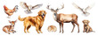 © Rawpixel.com - PNG Diverse wildlife animals illustration, element set on transparent background