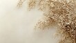 © lisa - Dried Baby Breath Flowers on Beige Background