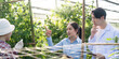 © Natee Meepian - Research collaboration on cannabis cultivation techniques in greenhouses academic setting innovative environment professional viewpoint