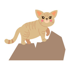 Poster - cat desert animal