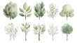 © Whitefeather - A series of trees with different shapes and sizes