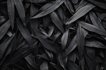 Poster - Monochrome close-up of scattered dark leaves.