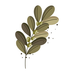 Wall Mural - olive branch natural