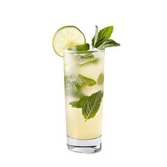 Wall Mural - A clear glass of mojito with muddled mint leaves, lime wedges, white rum, soda water, and a touch of sugar. Garnished with a sprig of fresh mint and a lime wheel. Isolated on white background.