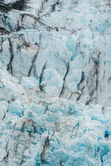 Wall Mural - Scenic views of a glacier in Glacier Bay National Park in southeast Alaska 