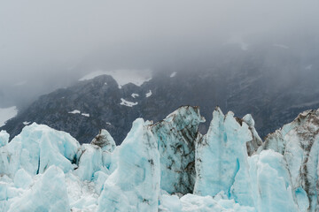 Wall Mural - Scenic views of a glacier in Glacier Bay National Park in southeast Alaska 