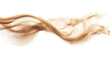 © PixelHill - Sand flying explosion, Golden grain wave explode. Abstract cloud fly. Yellow colored sand splash throwing in Air. on transparent background